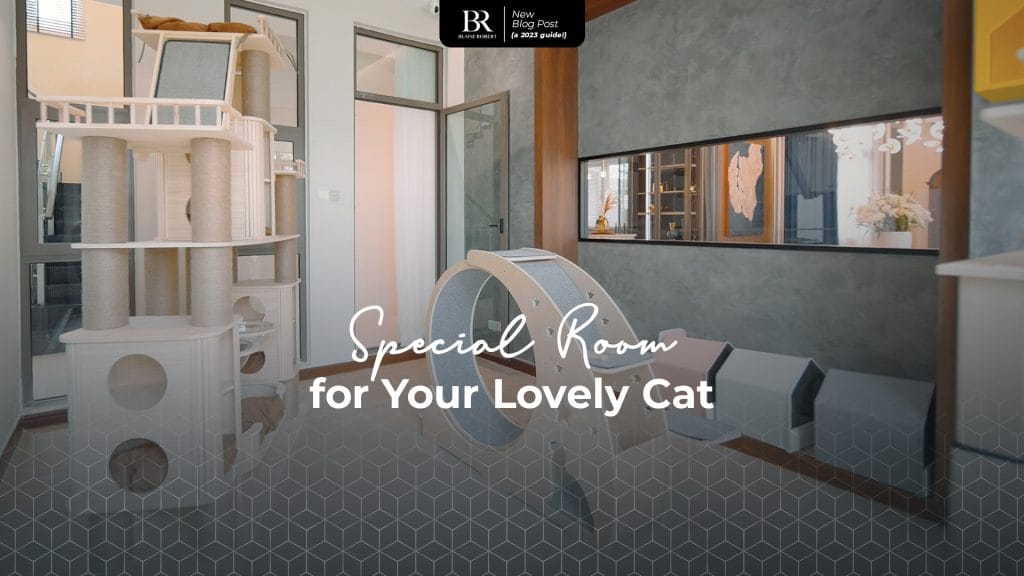 special room for your cat