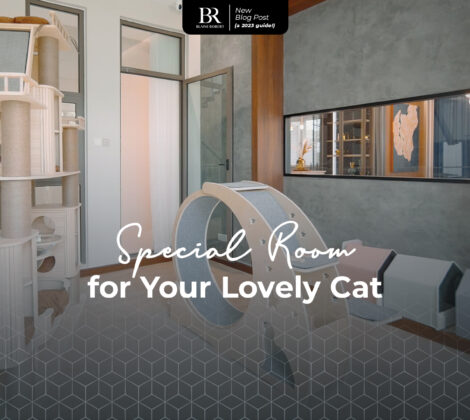 special room for your cat