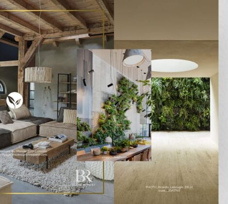 biophilic-design