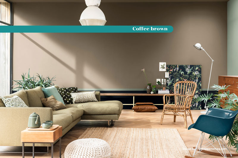 coffee-brown-color-living-room