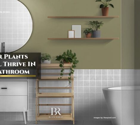 indoor-plants-that-will-thrive-in-bathroom