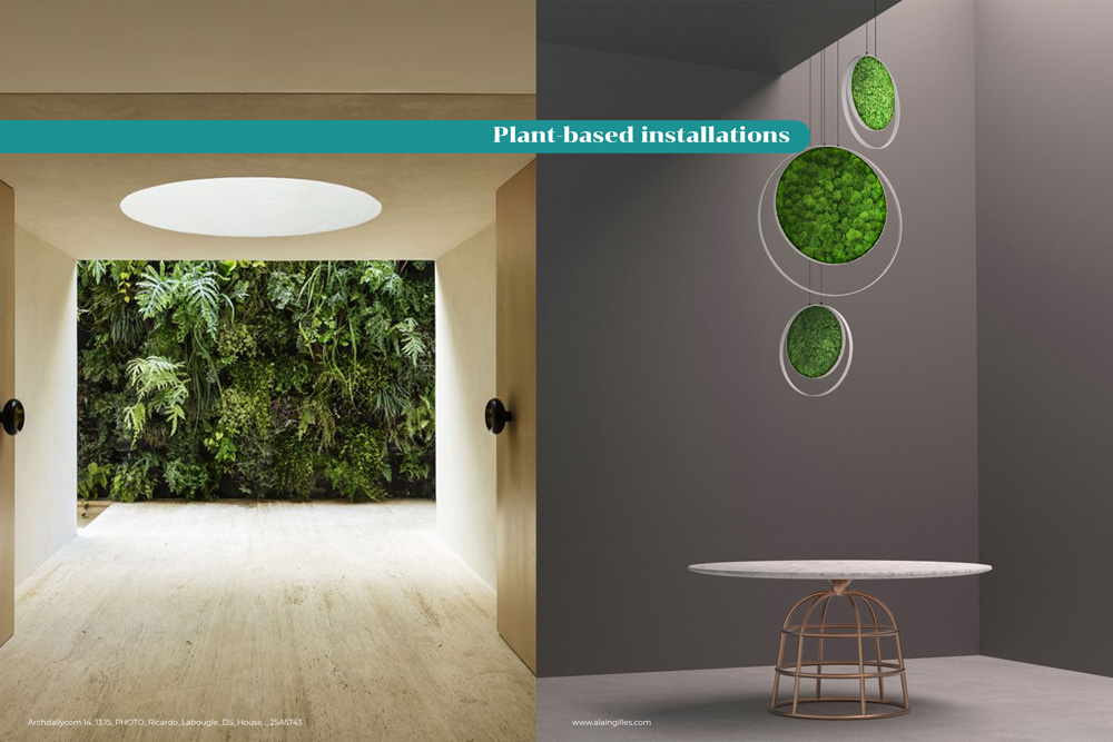 plant-based-installation